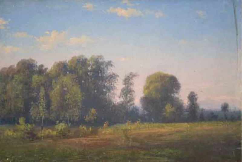  42-Prato con alberi 